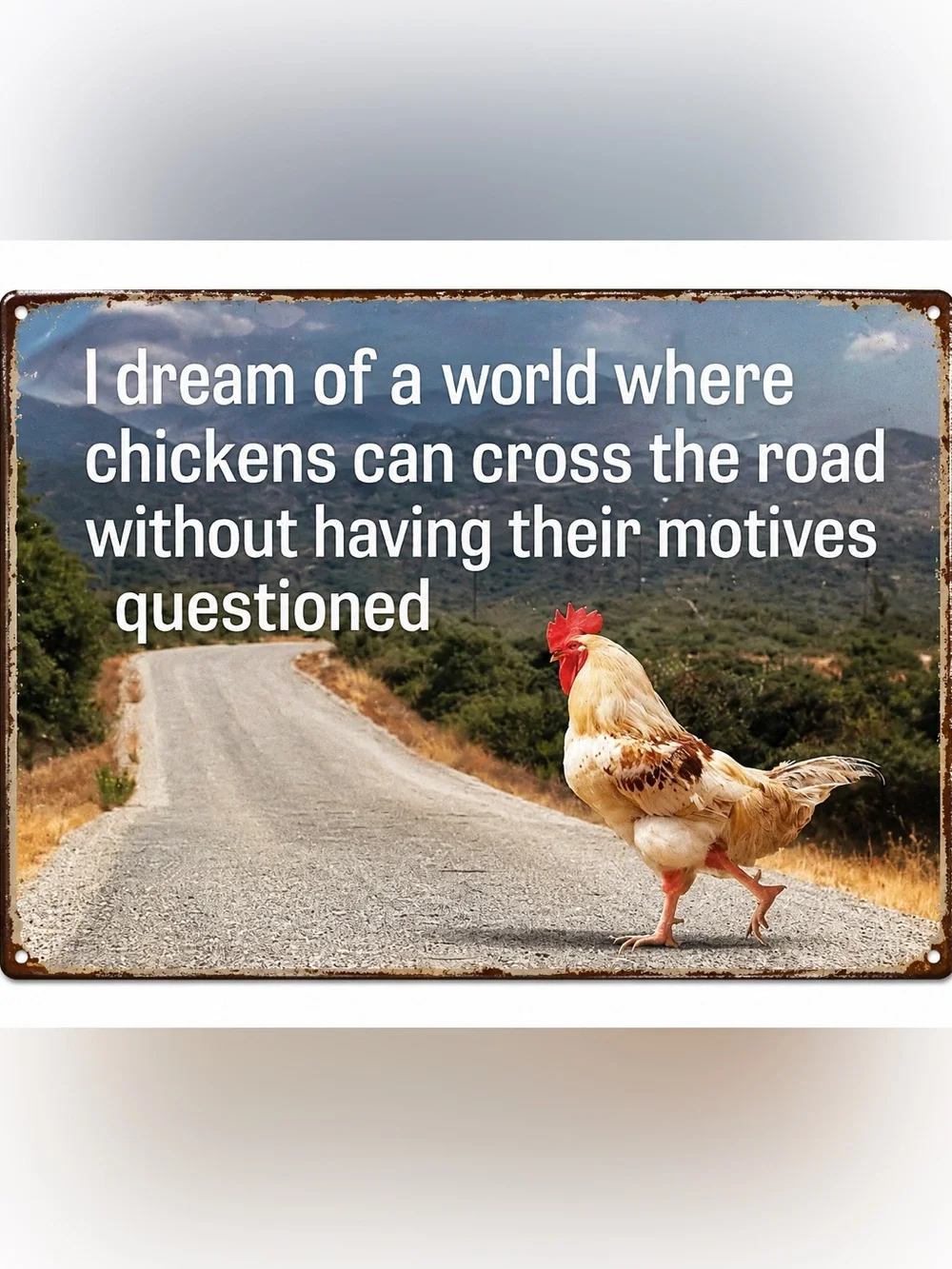NEW Chicken Crossed The Road Metal Sign